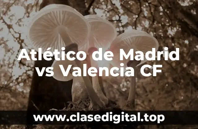 Historia del Atlético de Madrid vs Valencia CF