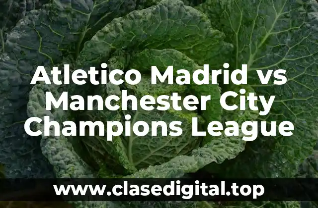 Atletico Madrid vs Manchester City Champions League
