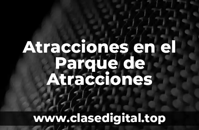 Tipos de Atracciones en el Parque de Atracciones
