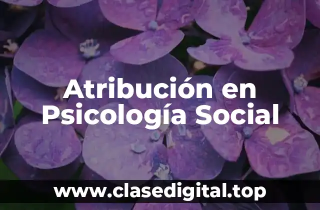 Atribución en Psicología Social