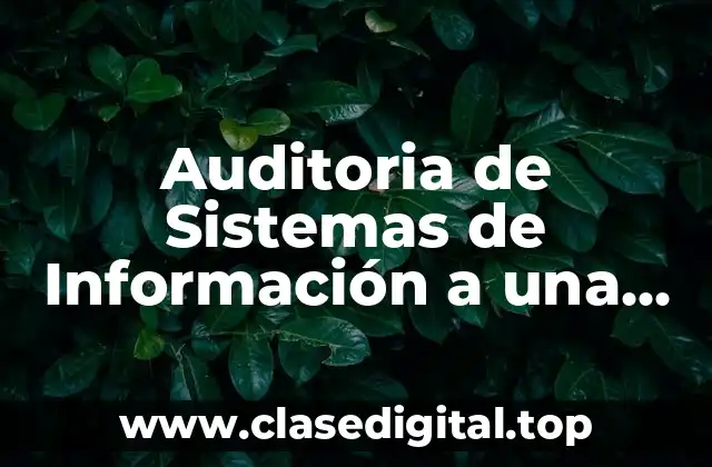 Auditoria de Sistemas de Información a una Empresa