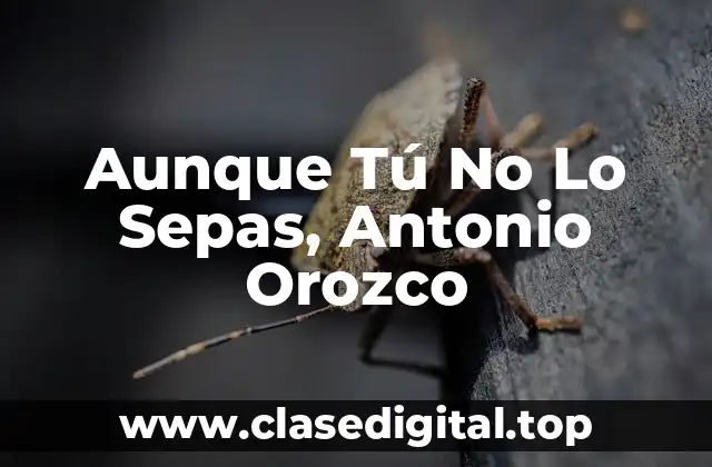 ¿Dónde Nació Antonio Orozco?