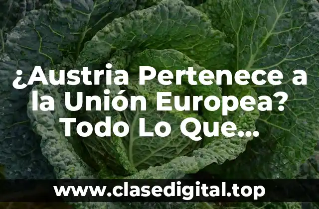 ¿Austria Pertenece a la Unión Europea? Todo Lo Que Necesitas Saber