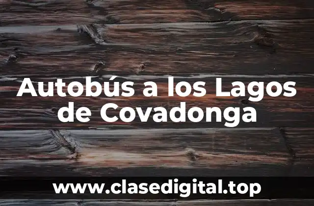 Autobús a los Lagos de Covadonga