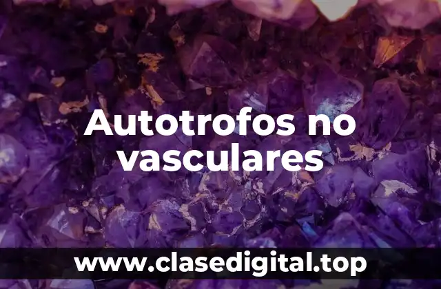 Autotrofos no vasculares