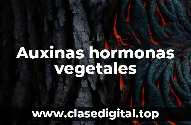 Auxinas hormonas vegetales