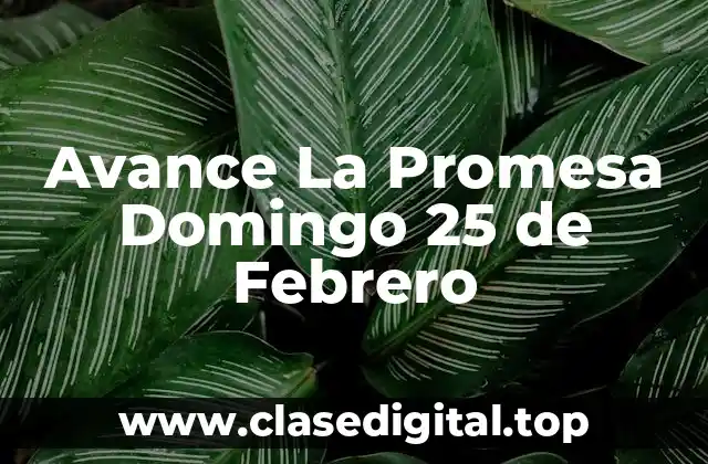 Avance La Promesa Domingo 25 de Febrero