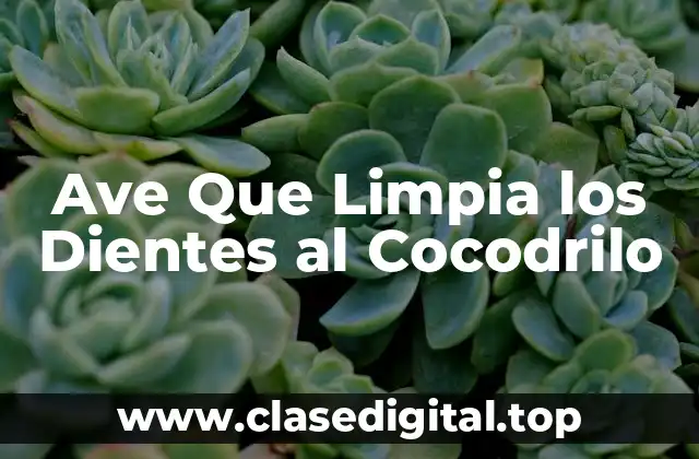 ¿Qué es la Jacana y Cómo Vive en la Selva?