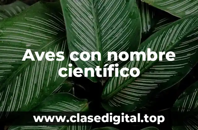 Ejemplos de aves con nombre científico