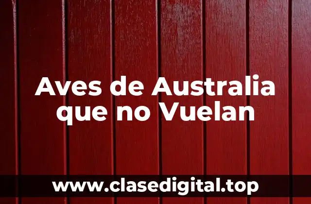 Aves de Australia que no Vuelan