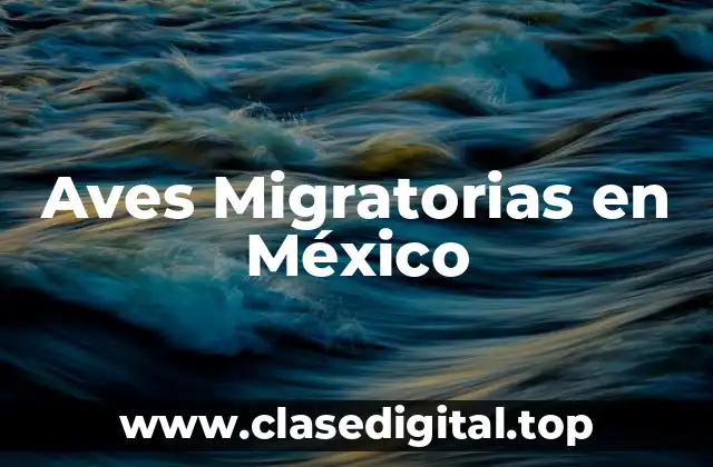 Aves Migratorias en México