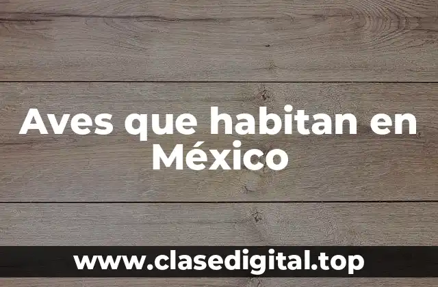 Ejemplos de aves que habitan en México