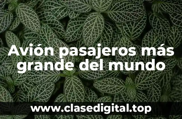 Avión pasajeros más grande del mundo