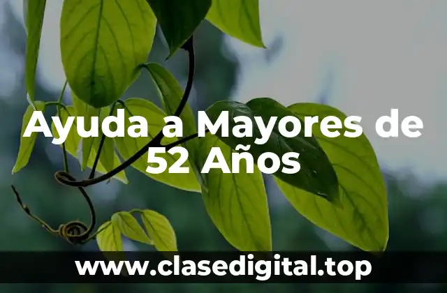 ¿Qué son los Servicios de Ayuda a Mayores de 52 Años?