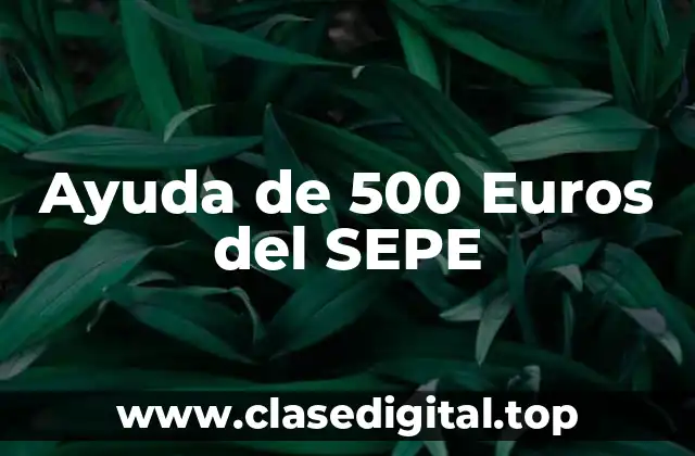 Ayuda de 500 Euros del SEPE