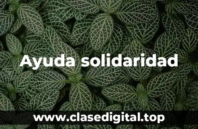 Ayuda solidaridad