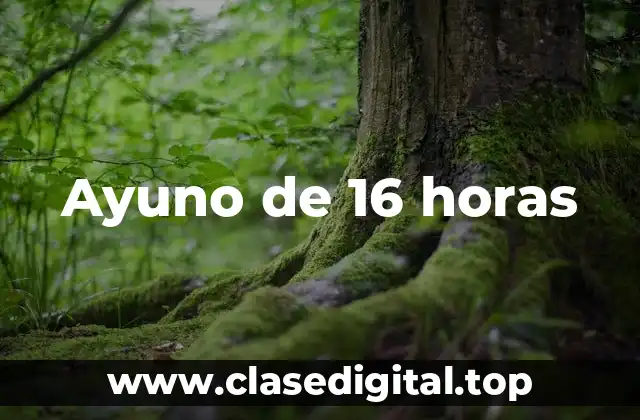 Ayuno de 16 horas