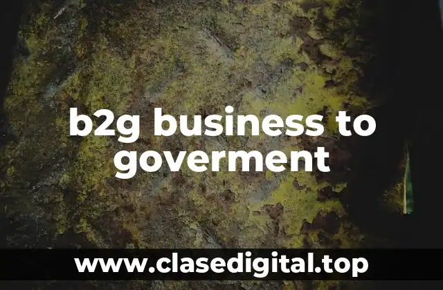 b2g business to goverment