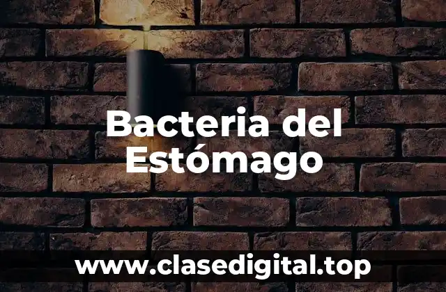¿Cuál es la Función de las Bacterias del Estómago?