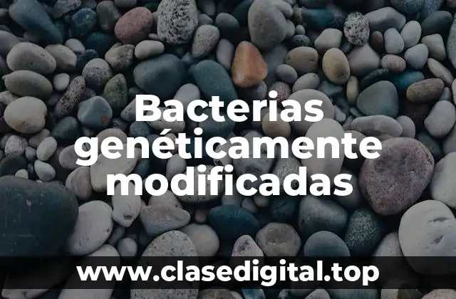 Bacterias genéticamente modificadas