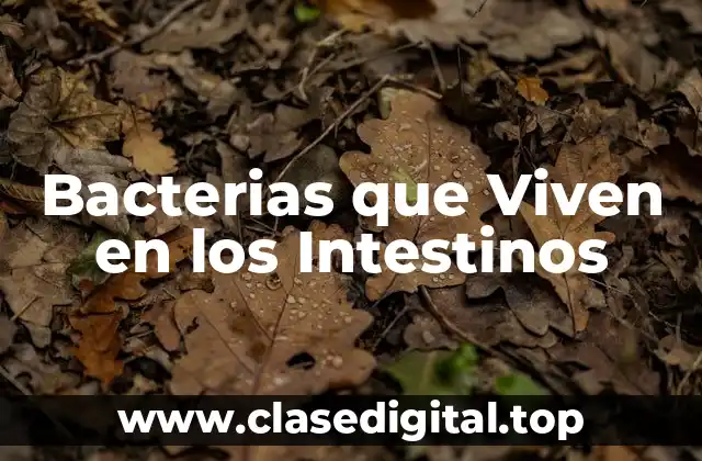 Bacterias que Viven en los Intestinos