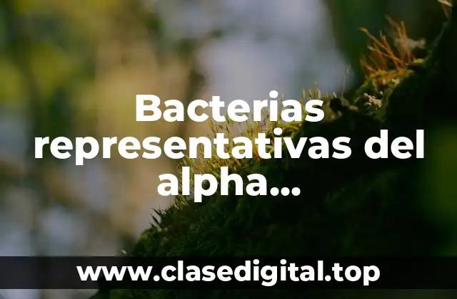 Bacterias representativas del alpha proteobacterias