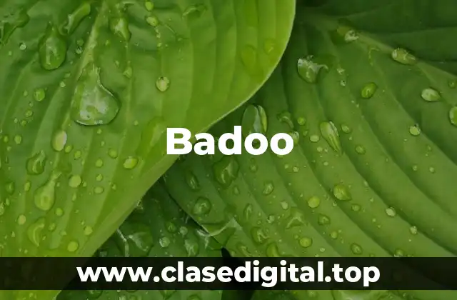 Orígenes y crecimiento de Badoo