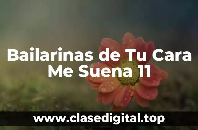 ¿Quiénes son las Bailarinas de Tu Cara Me Suena 11?