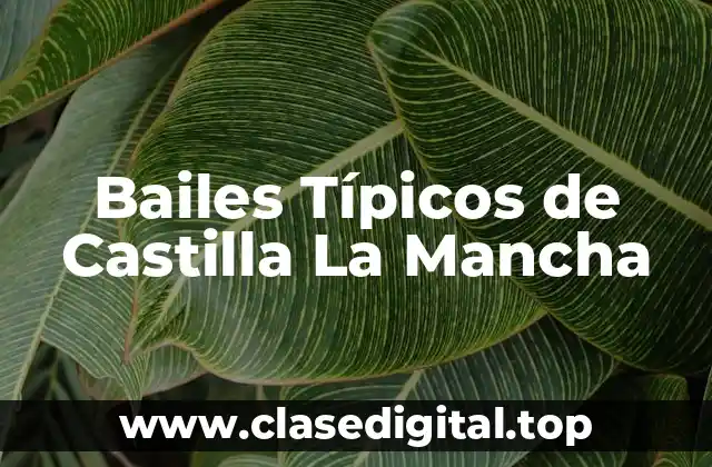 Bailes Típicos de Castilla La Mancha