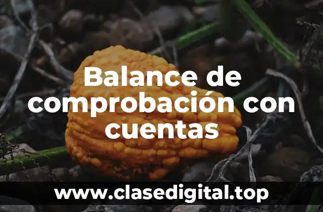 Balance de comprobación con cuentas