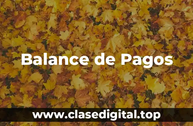 Balance de Pagos
