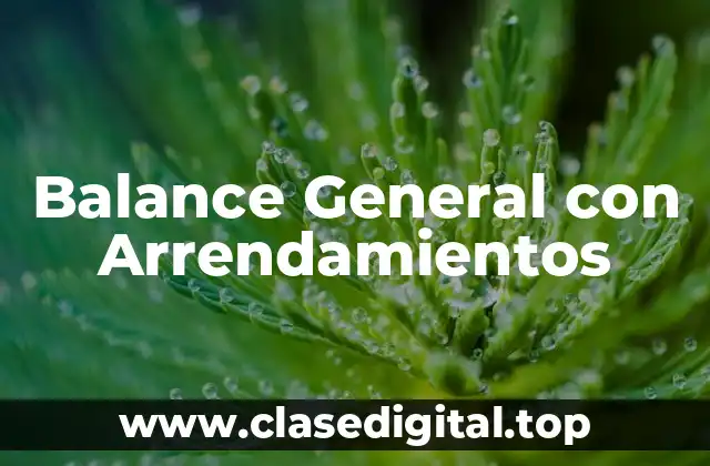 Balance General con Arrendamientos