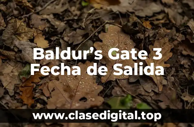 Baldur’s Gate 3 Fecha de Salida