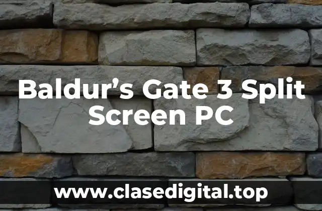 Baldur’s Gate 3 Split Screen PC