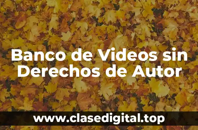 Banco de Videos sin Derechos de Autor