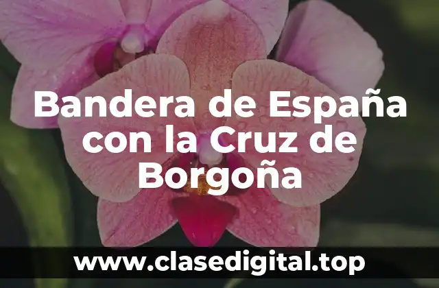 Bandera de España con la Cruz de Borgoña