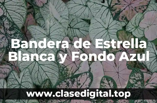 Orígenes de la Bandera de Estrella Blanca y Fondo Azul