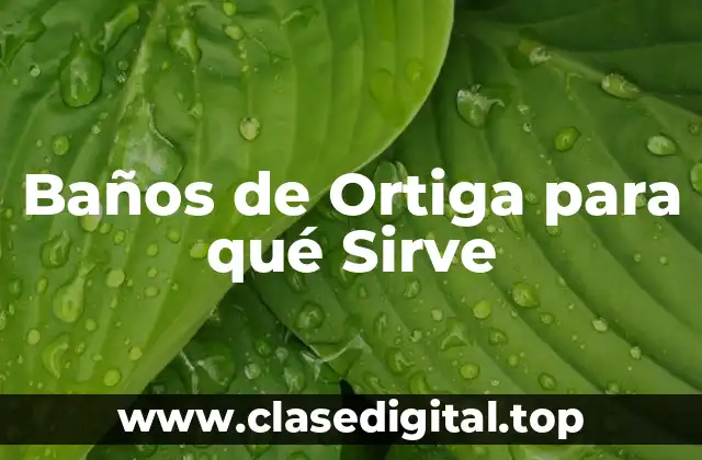 Baños de Ortiga para qué Sirve