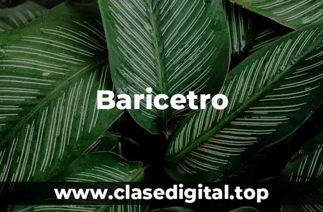 Ejemplos de Baricetro