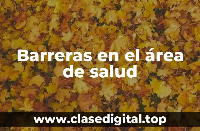 Barreras en el área de salud