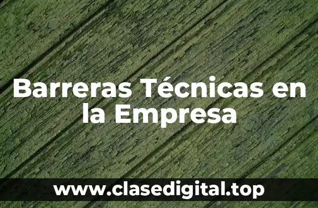 Barreras Técnicas en la Empresa