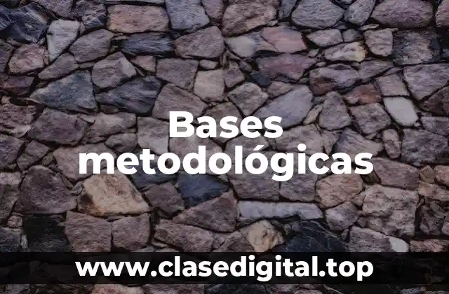 Bases metodológicas