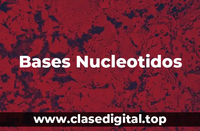 Bases Nucleotidos