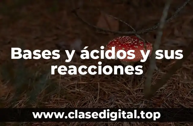 Bases y ácidos y sus reacciones