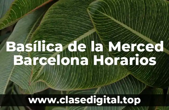 Basílica de la Merced Barcelona Horarios