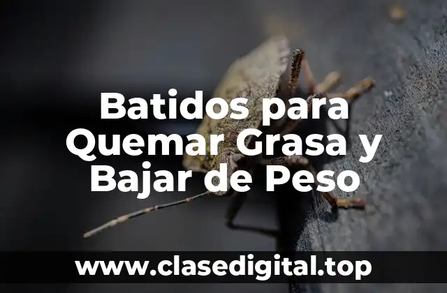 Batidos para Quemar Grasa y Bajar de Peso