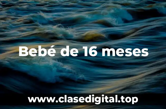 ¿Cuál es el Peso Promedio para un Bebé de 16 Meses?