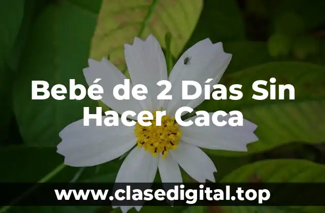 Bebé de 2 Días Sin Hacer Caca