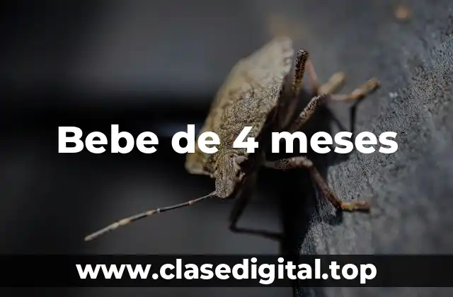 ¿Cuál es el Peso Promedio de un Bebé de 4 Meses?