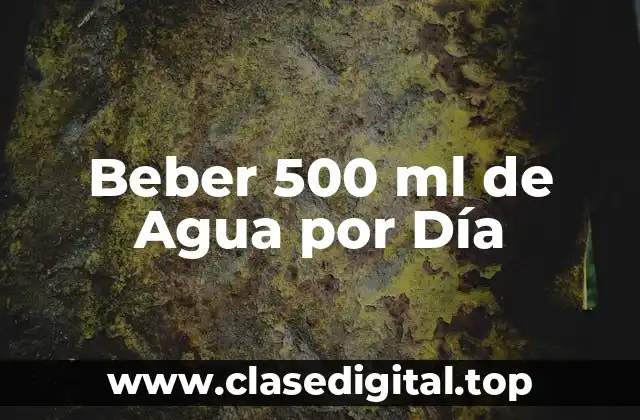 Beber 500 ml de Agua por Día